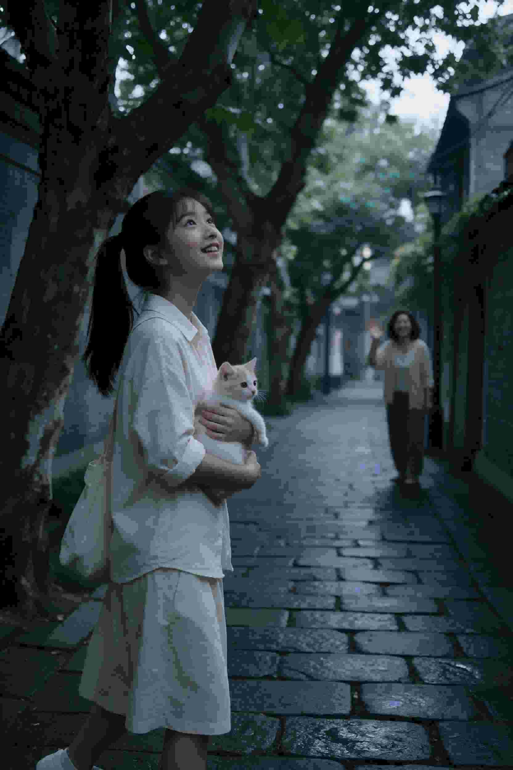 全职猎人